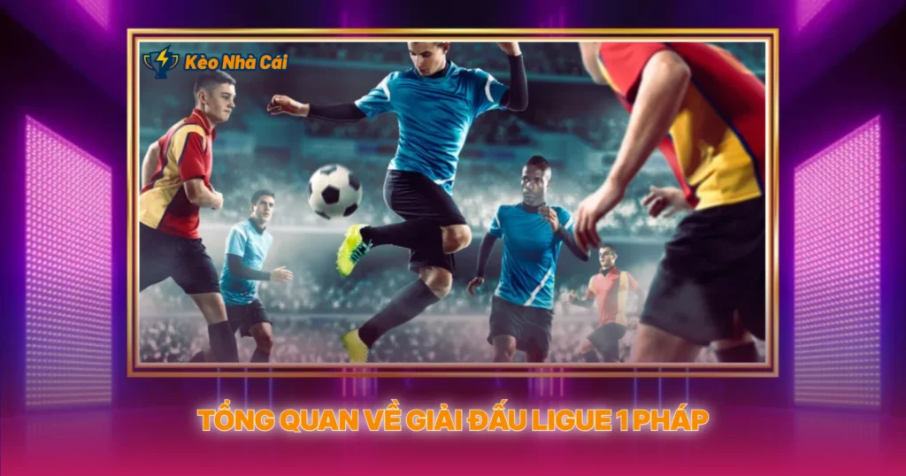 Ligue 1 - Tỷ Lệ Kèo Nhà Cái Và Phân Tích Chuyên Sâu 1 Tổng Quan Về Giải Đấu Ligue 1 Pháp