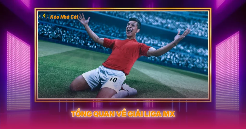 Tổng Quan Về Giải Liga MX