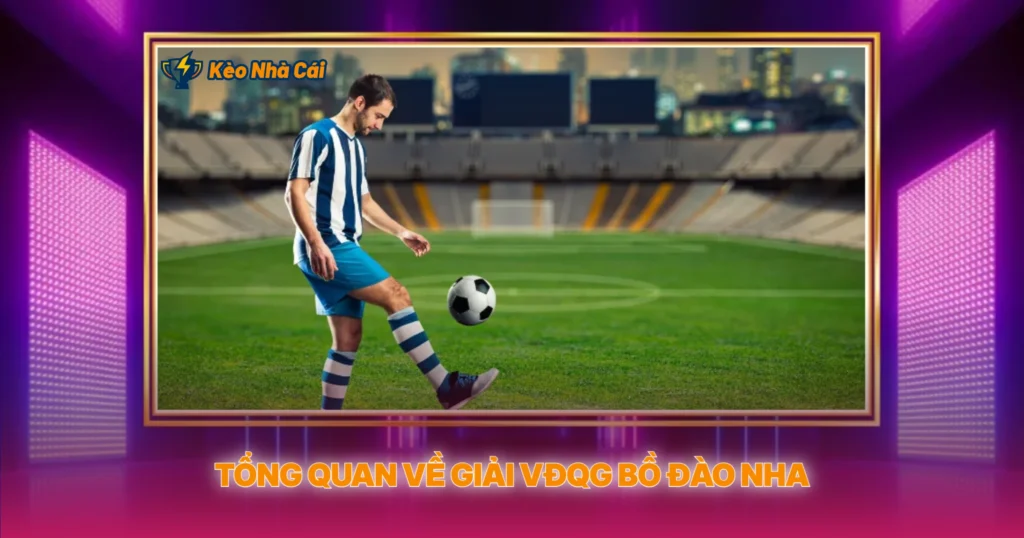 Tổng Quan Về Giải VĐQG Bồ Đào Nha
