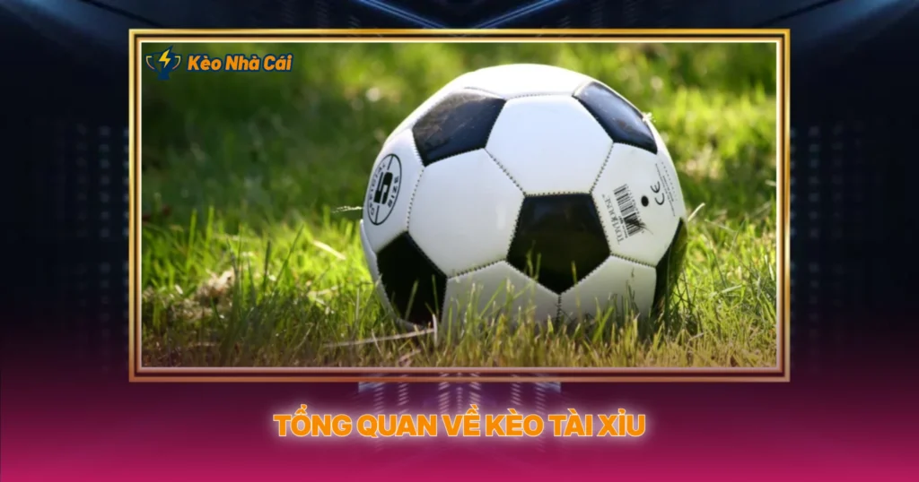 Tổng Quan Về Kèo Tài Xỉu